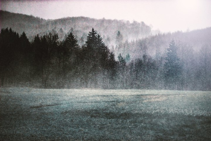 23116627_887023401464667_754583514334561243_o