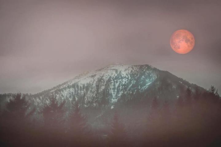 23231503_888184751348532_2963894253741654019_n