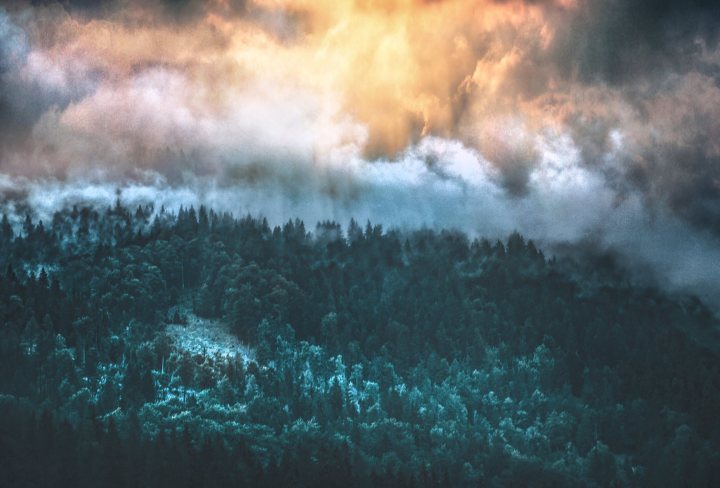 36531117_1024888024344870_6274294921297920000_o