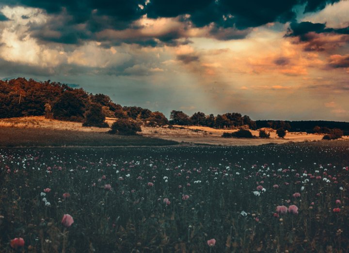 37794268_1046905348809804_3575066631853834240_o